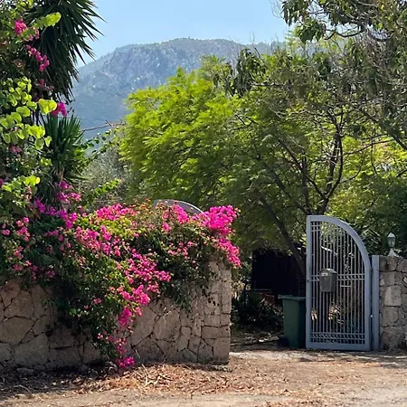 Charming Boutique In Catalkoey Villa *